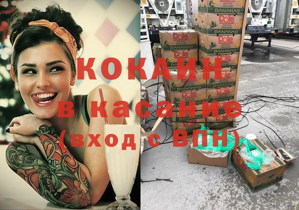 шишки Куйбышев