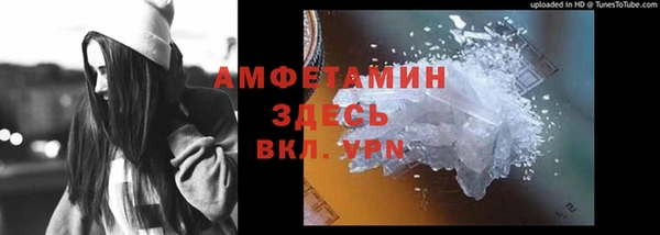 шишки Куйбышев