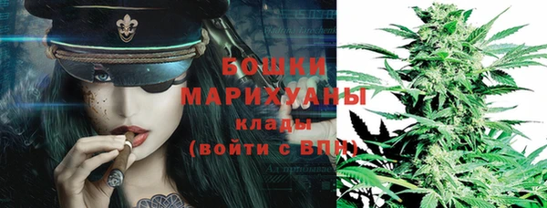 шишки Куйбышев