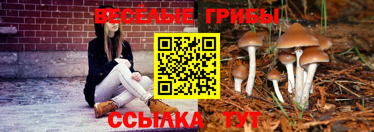 Галлюциногенные грибы мицелий Хасавюрт