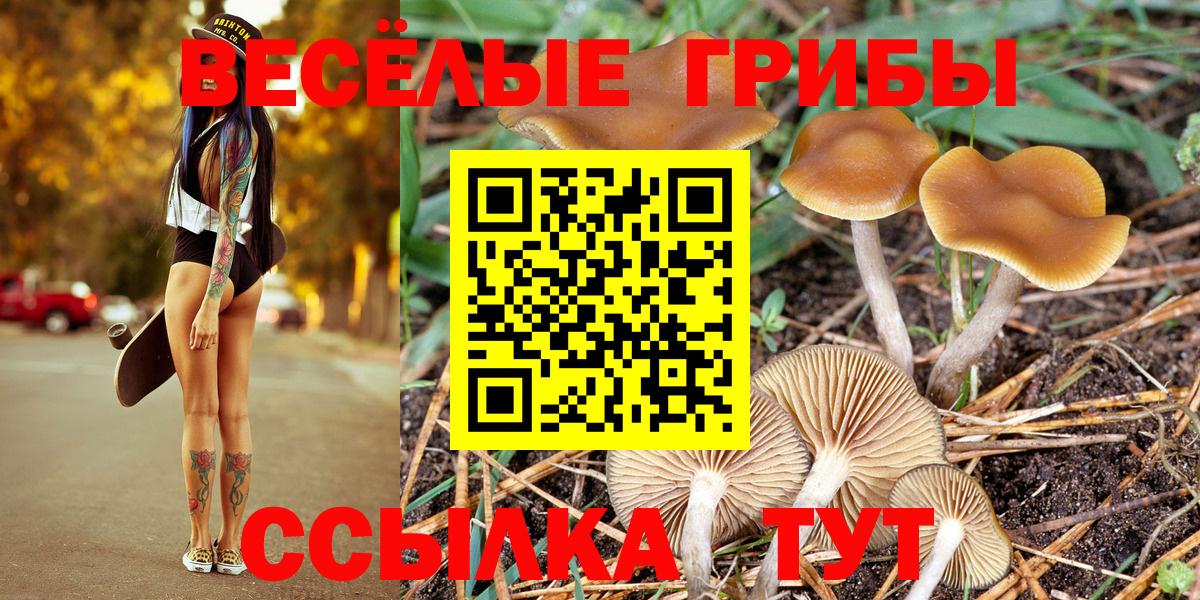Галлюциногенные грибы Magic Shrooms  Вход с VPN  Хасавюрт 